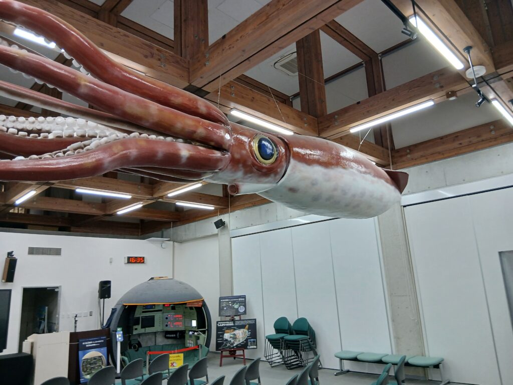 巨大なダイオウイカのオブジェ